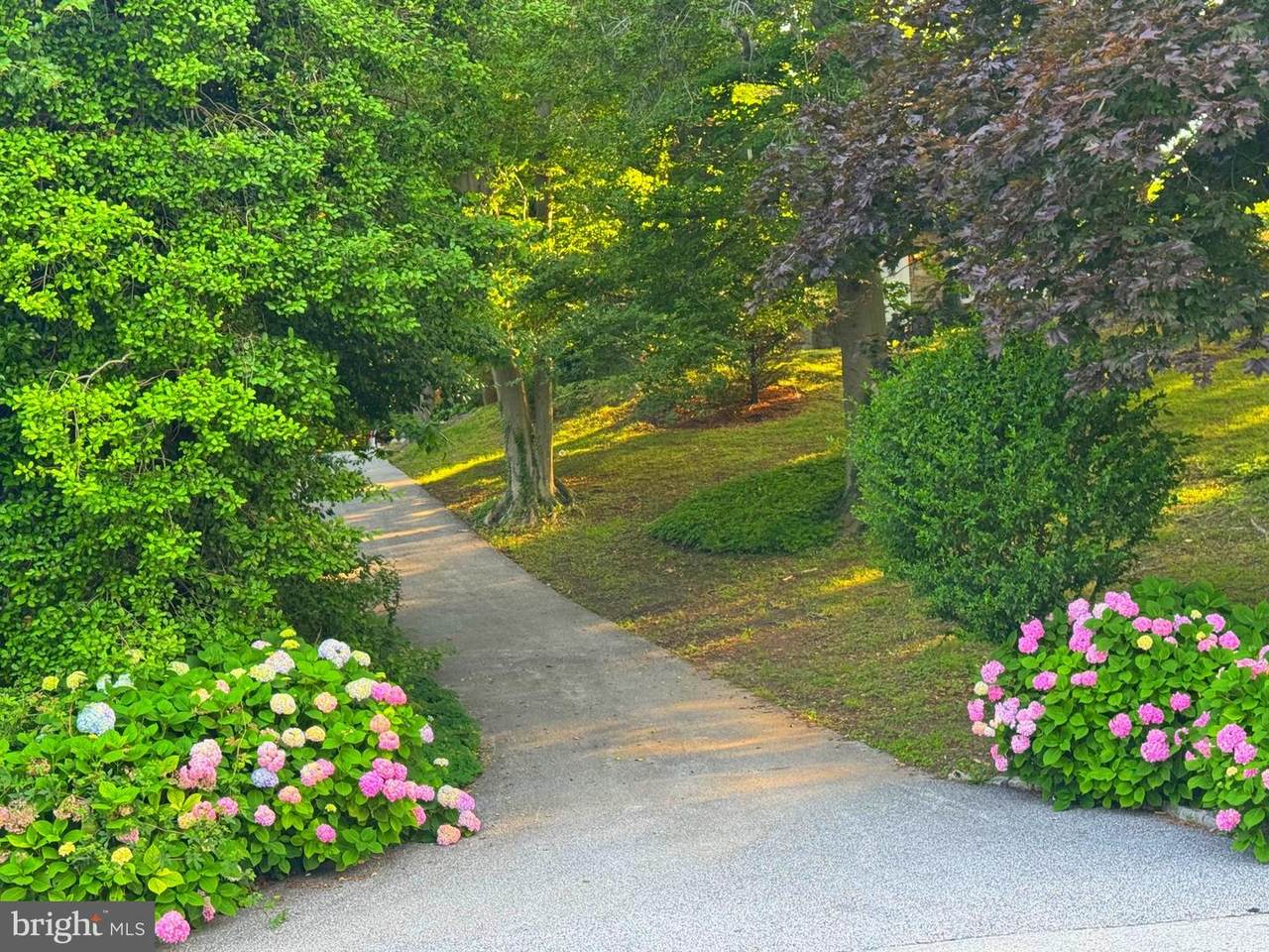 701 Hillen Road - Photo 1