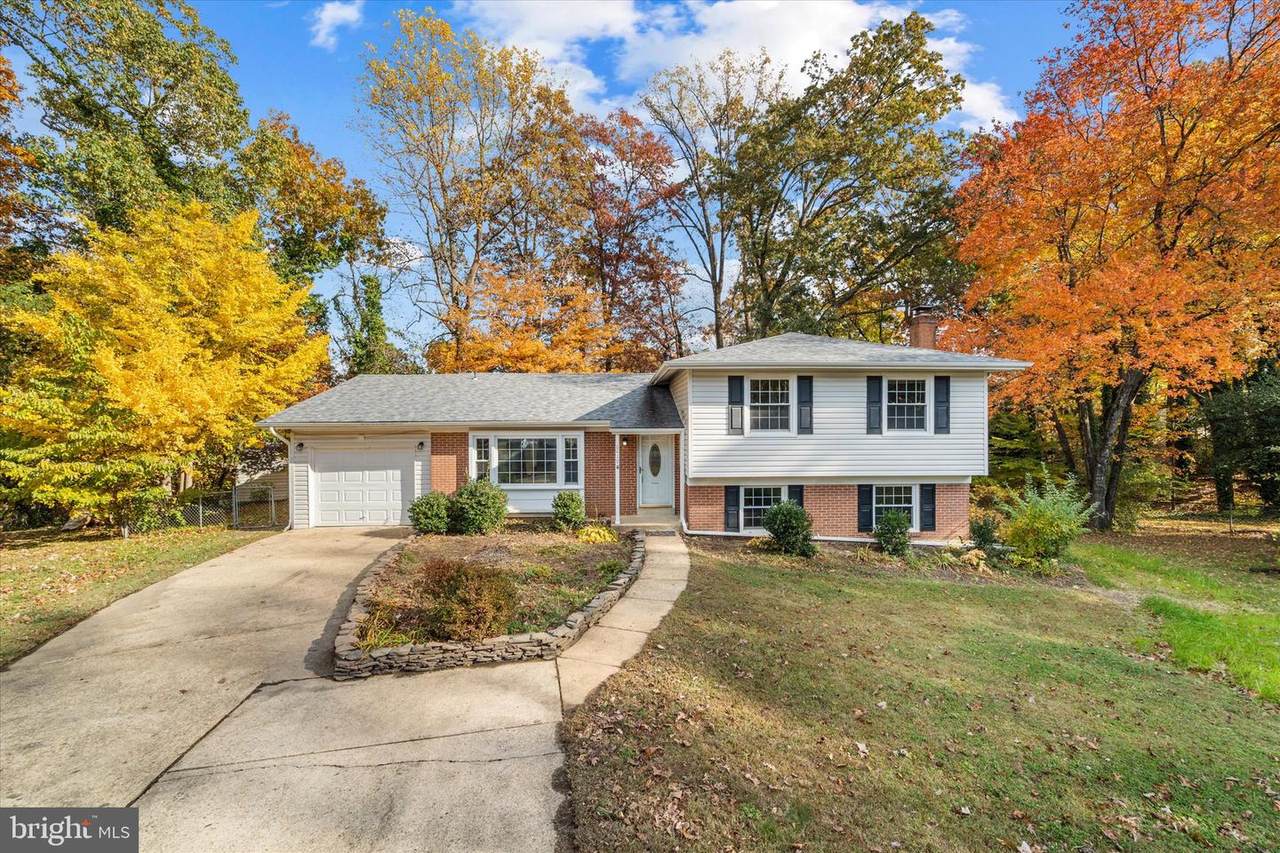 6419 Charnwood Street - Photo 1