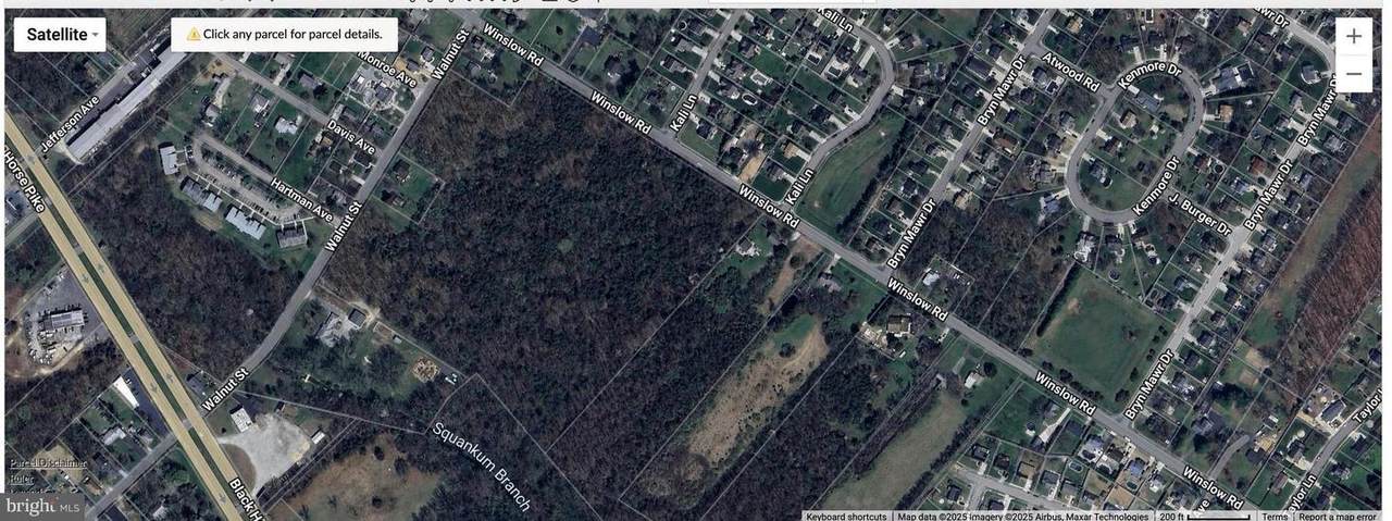 0 Walnut Street - Photo 1