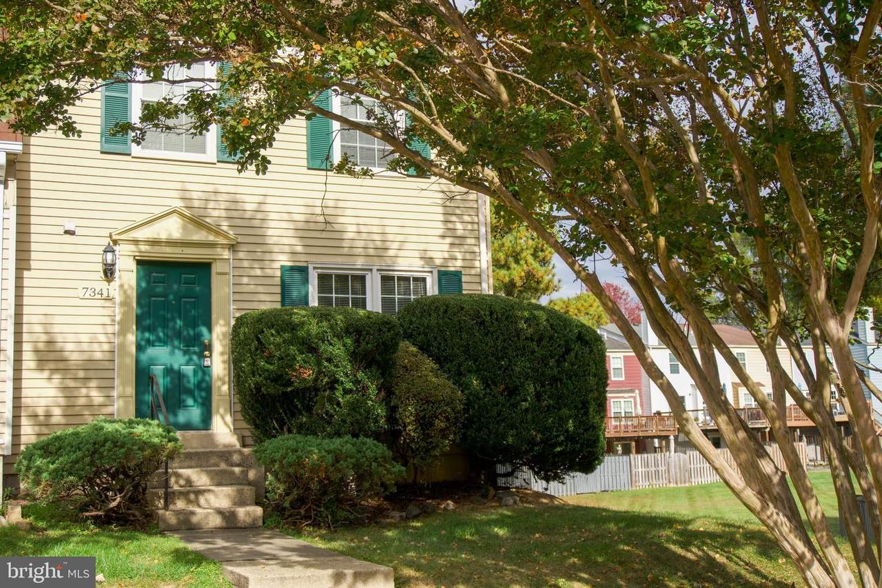 7341 Crestleigh Circle - Photo 1