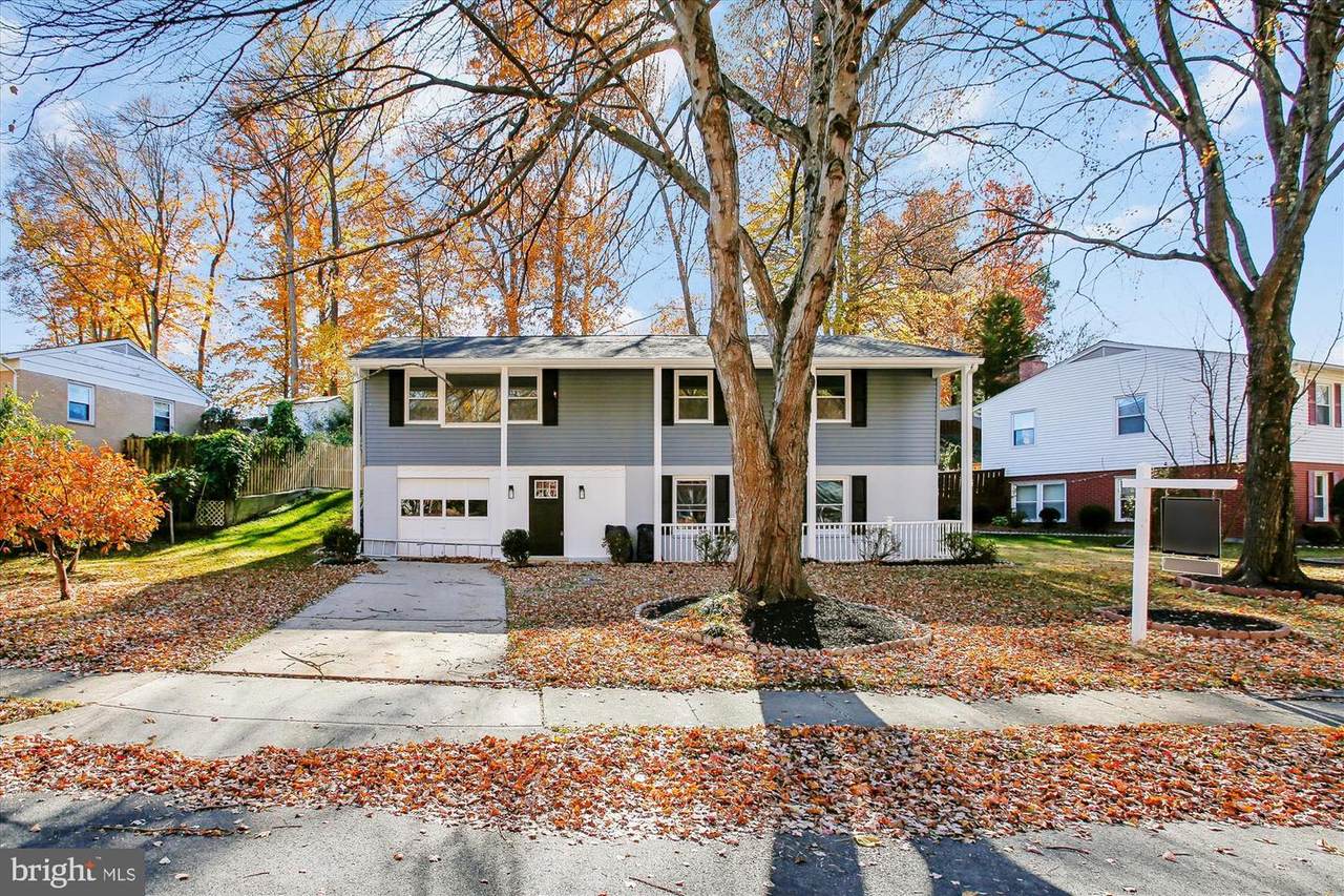 9075 Andromeda Drive - Photo 1