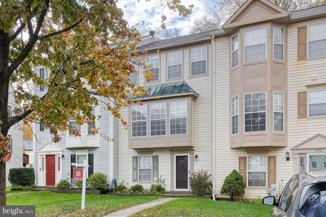 2548 Ambling Circle - Photo 1