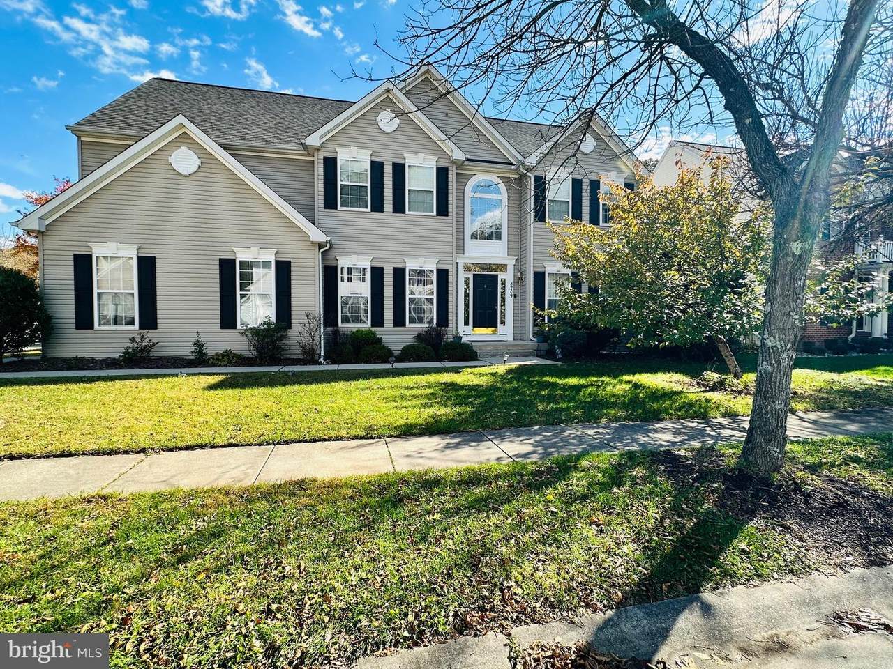 8209 Whitebark Lane - Photo 1