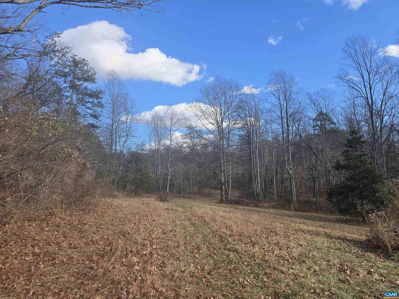 Lot C Sycamore Ln - Photo 1