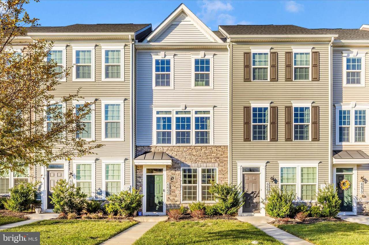 6666 Ballenger Run Boulevard - Photo 1