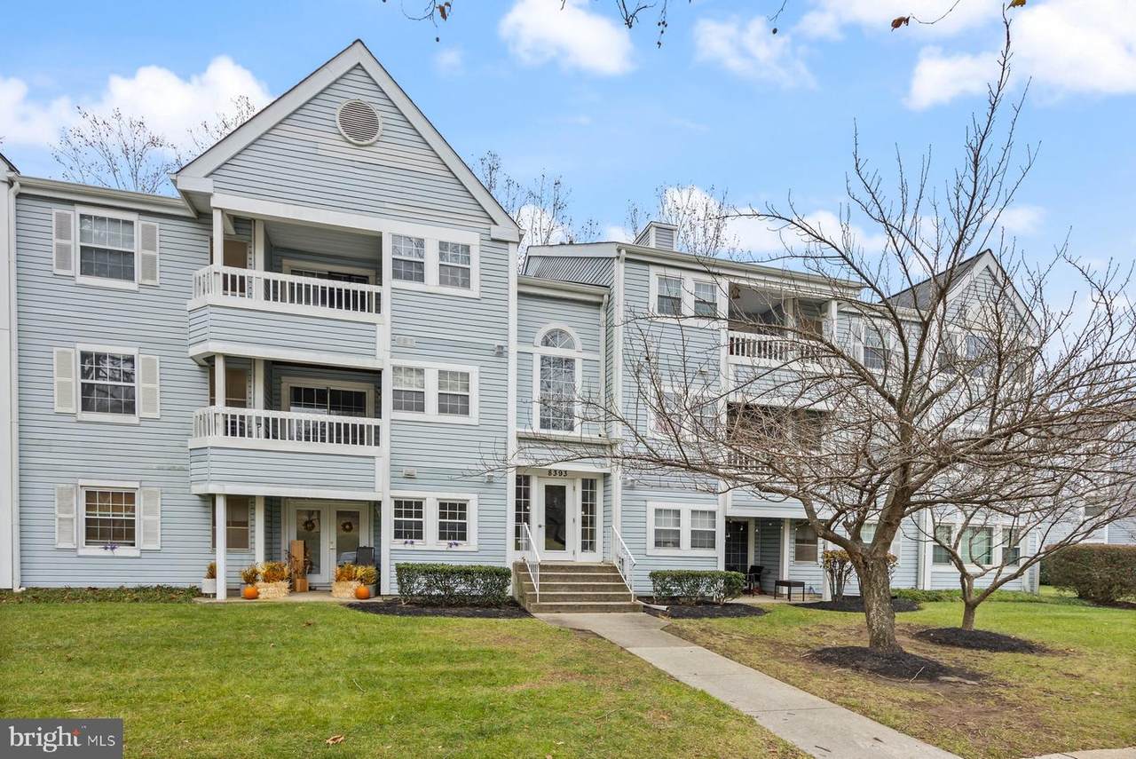 8393 Montgomery Run Road - Photo 1