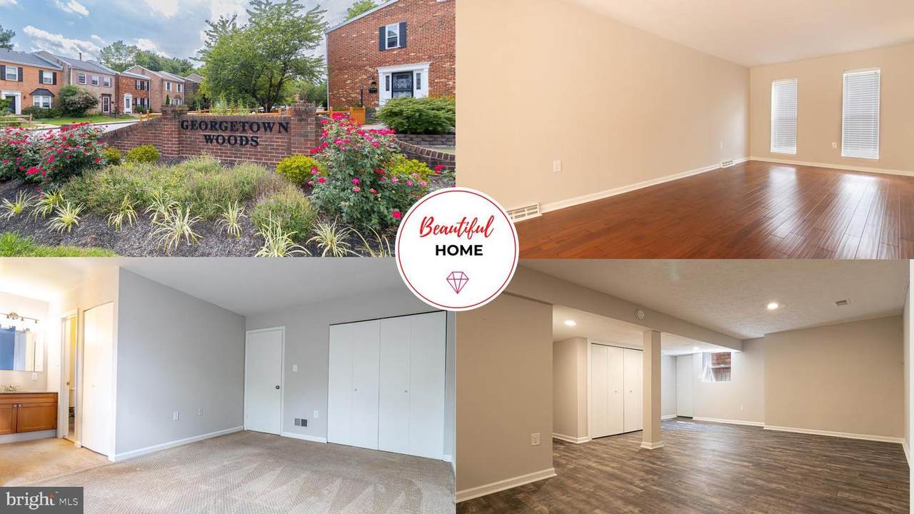 6558 Gildar Street - Photo 1