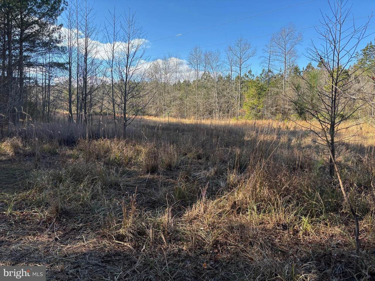 Lot 4B Mollyfield Road - Photo 1