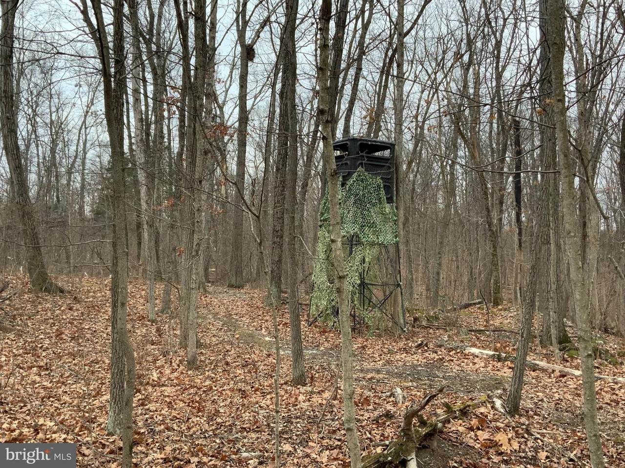 Lot 33 Nestle Quarry Road - Photo 1