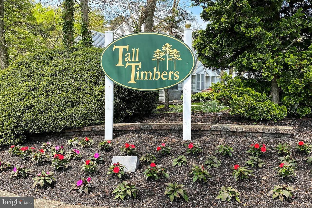 30 Whitemarsh Court - Photo 1