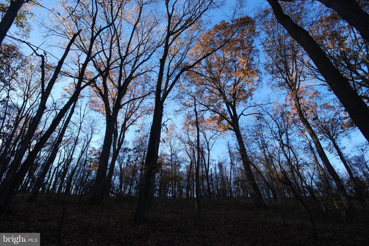 Lot 67 Mill Mountain Road - Photo 1
