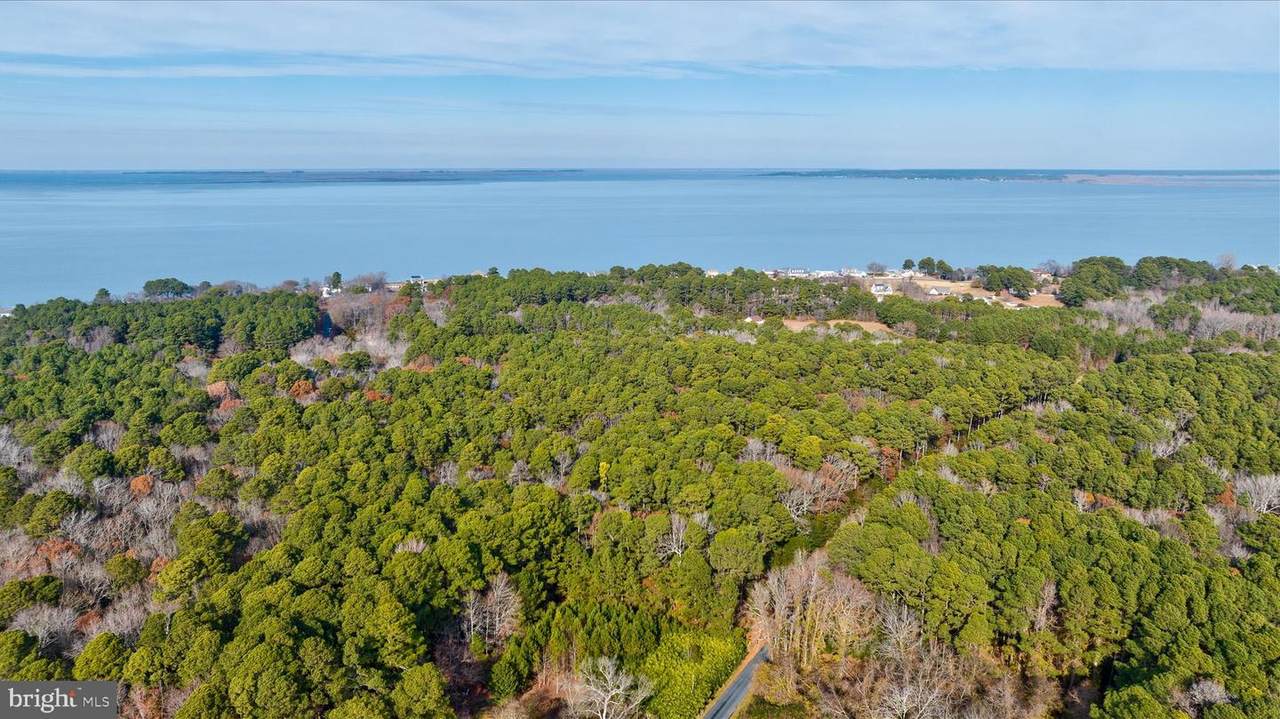 0 Roland Parks - Photo 1