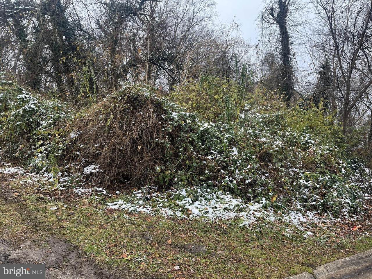 4607 Gunther Street - Photo 1