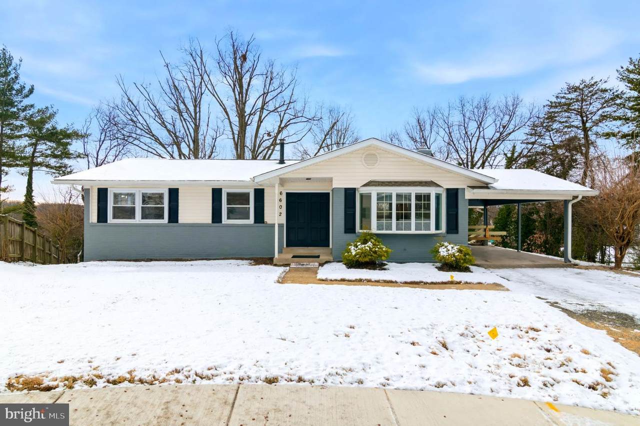 6602 Ian Street - Photo 1