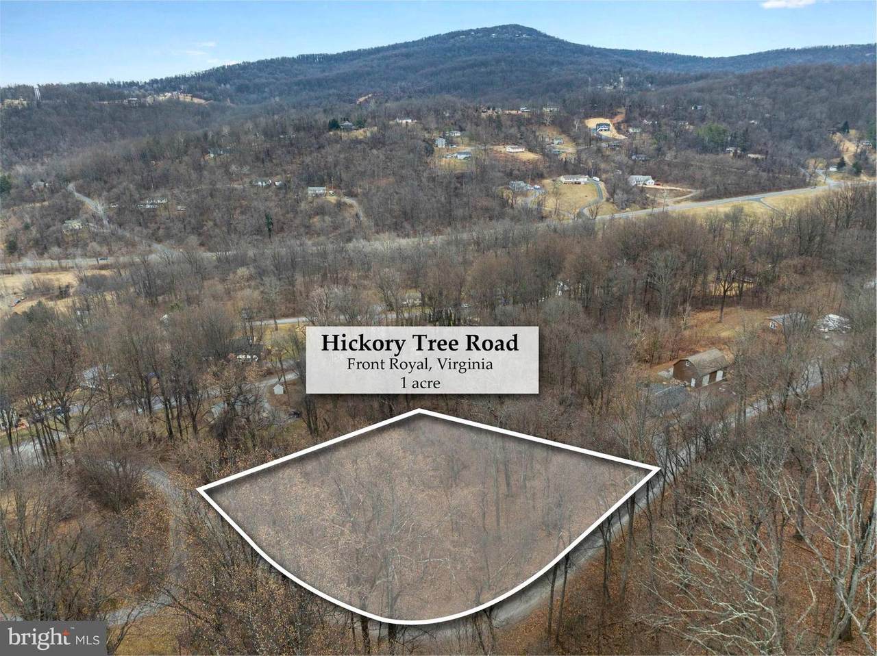 Lot 22 Hickory Tree Road - Photo 1