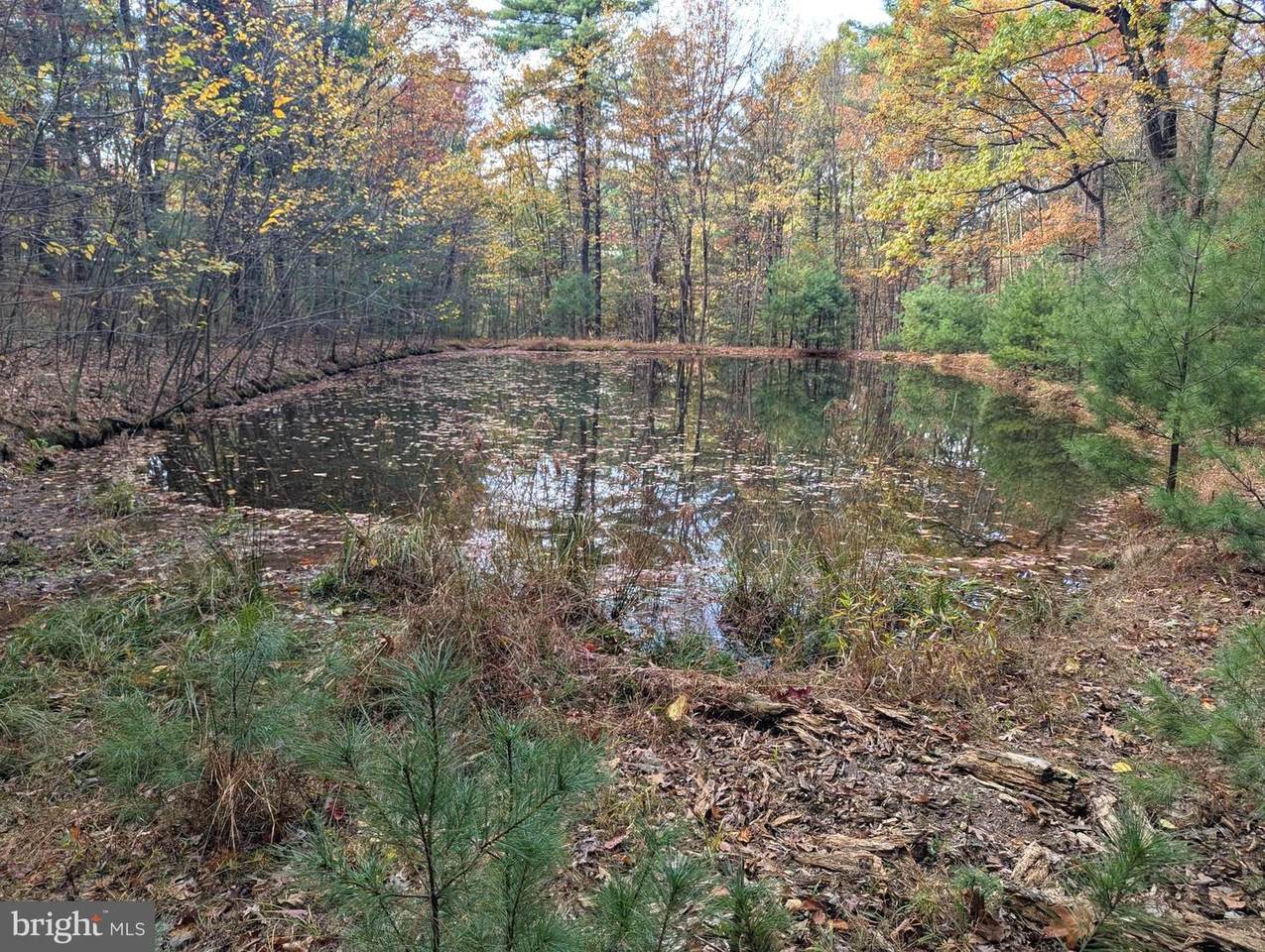 7 Community Pond Drive - Photo 1