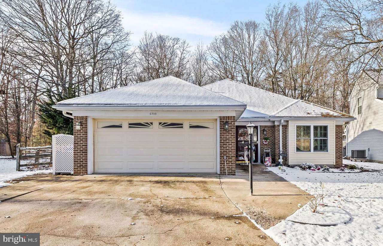 6955 Cony Court - Photo 1