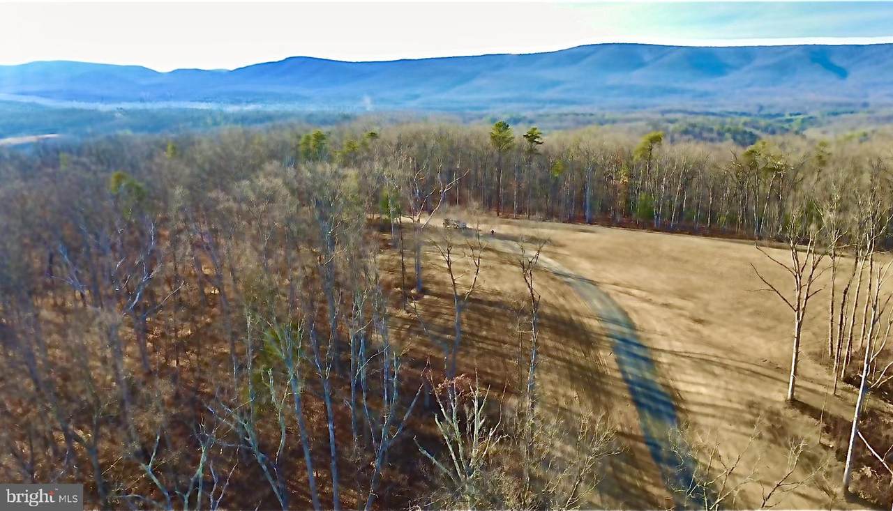 152.44 Acres Lot 2 Laurel Grove Road - Photo 1