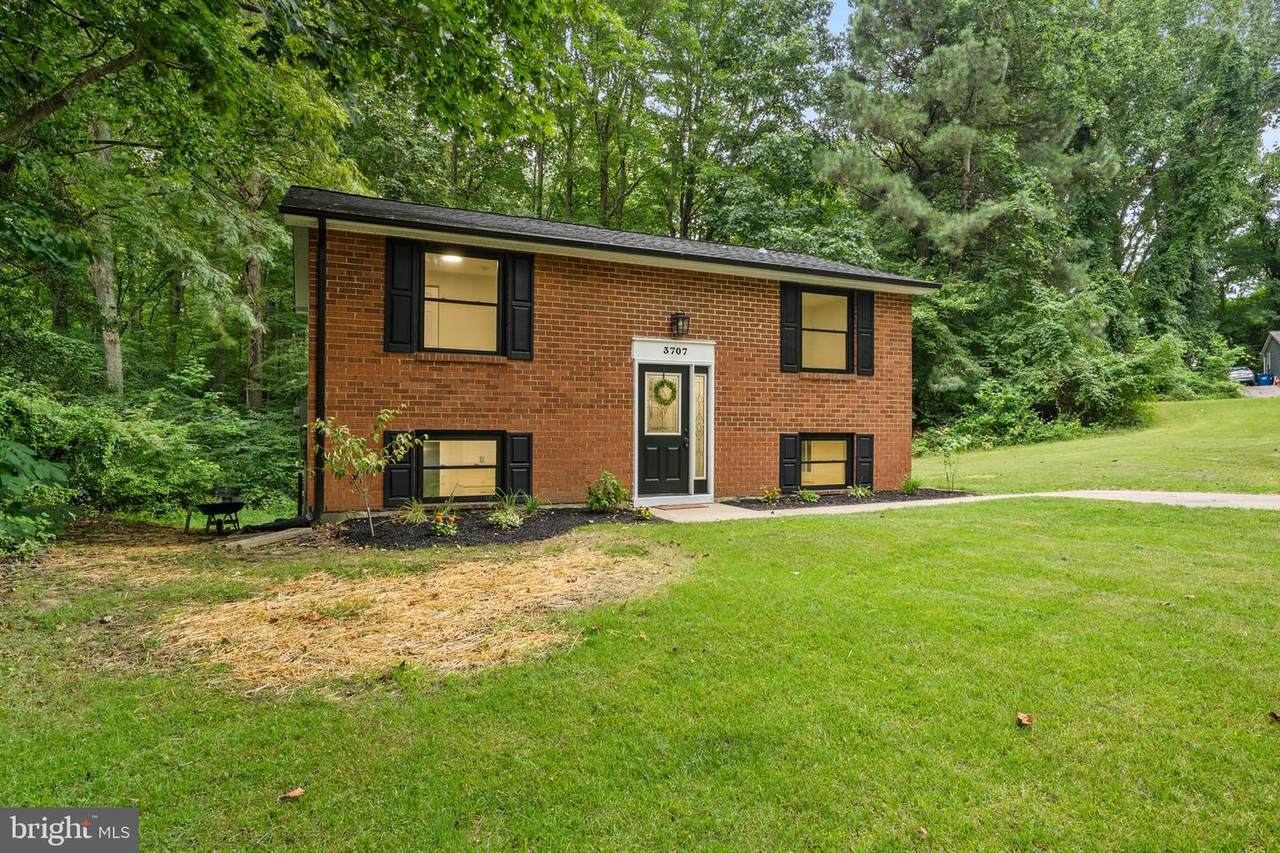 3707 Cassell Boulevard - Photo 1