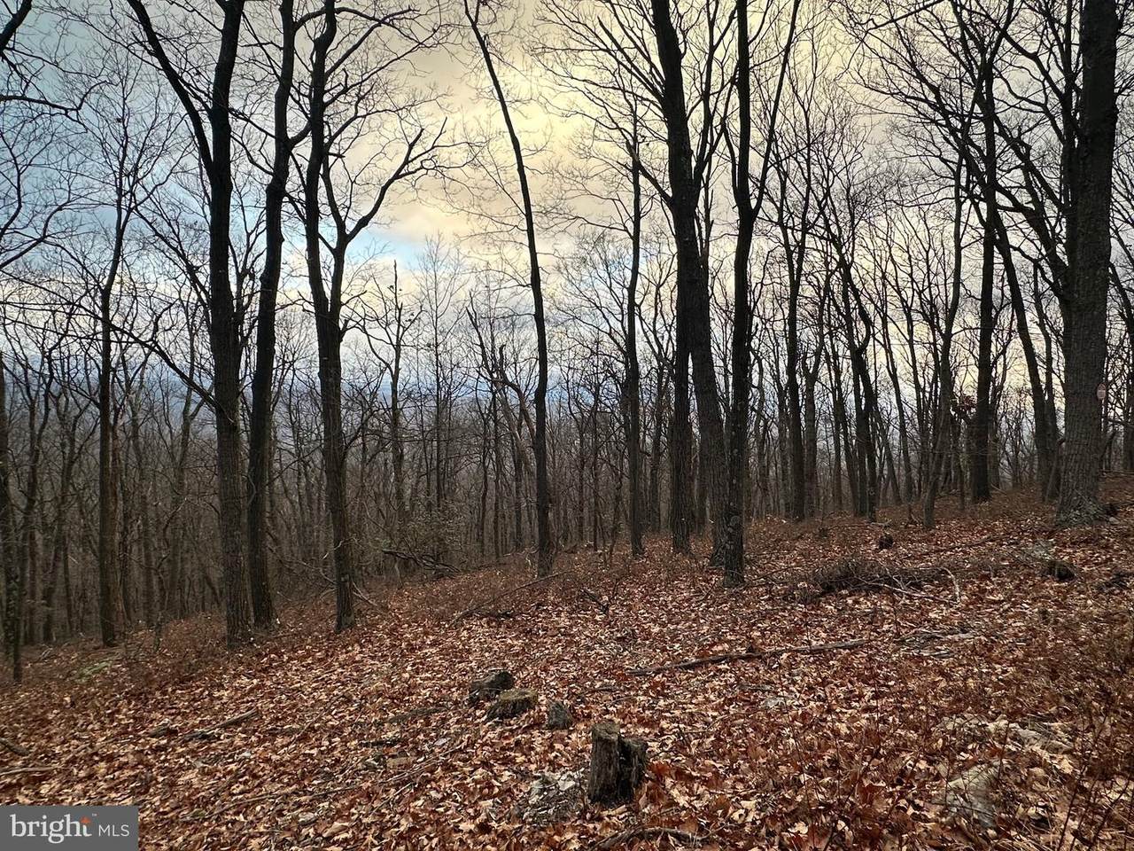 LOT 24 SEC 10 Lawyer Lane - Photo 1