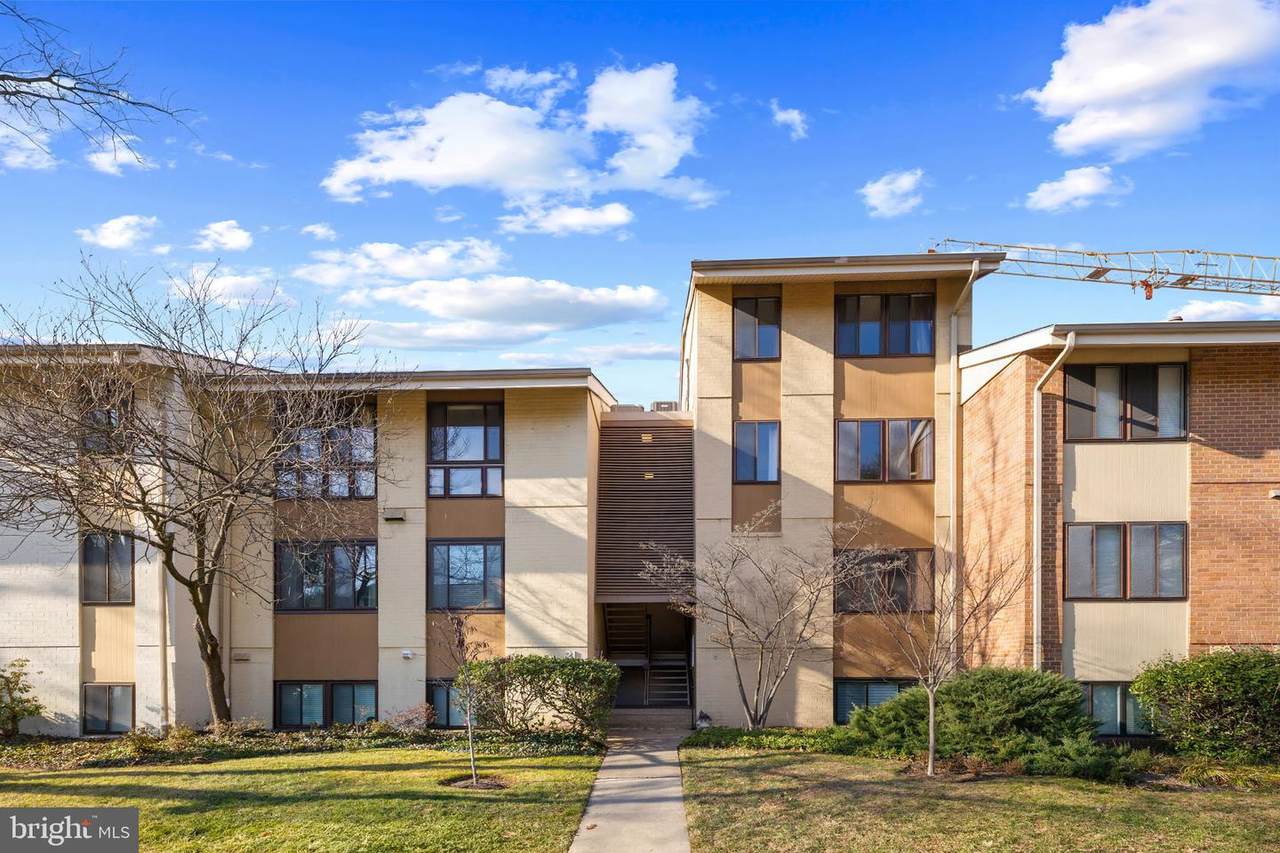 21 Hamill Road - Photo 1