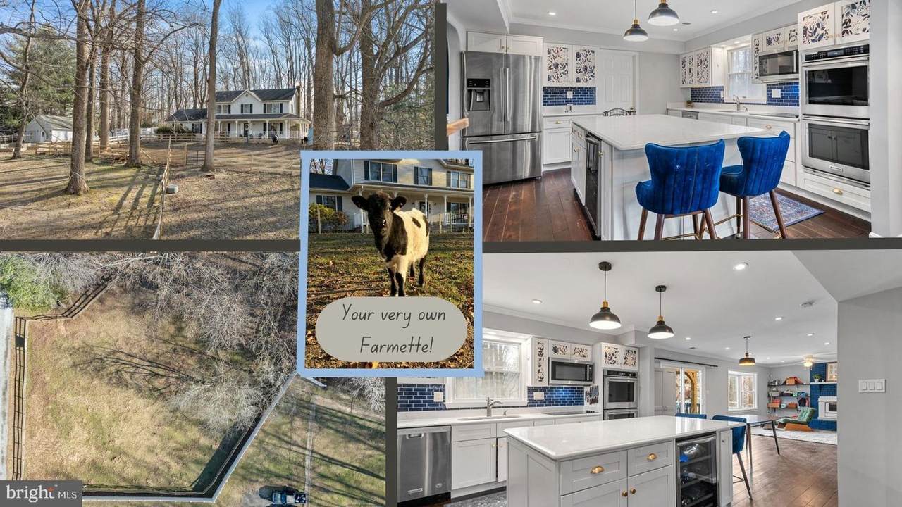 5918 Old Croom Station Road - Photo 1