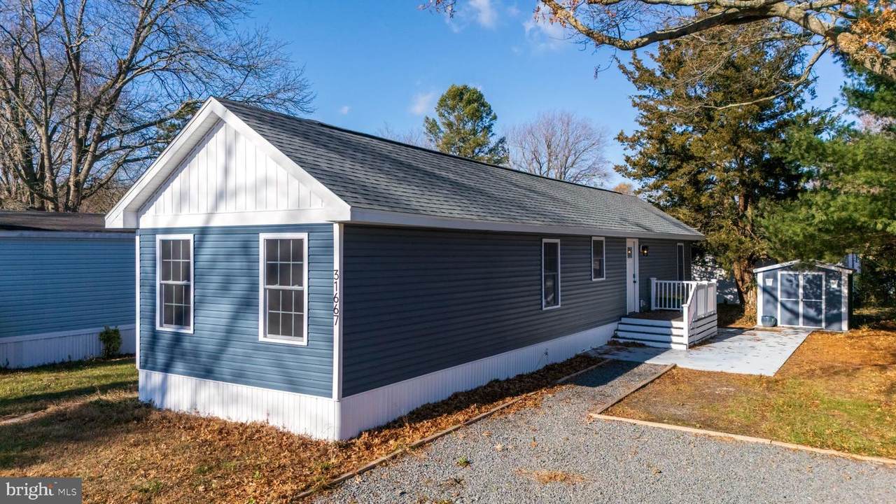 31667 Siham Road - Photo 1