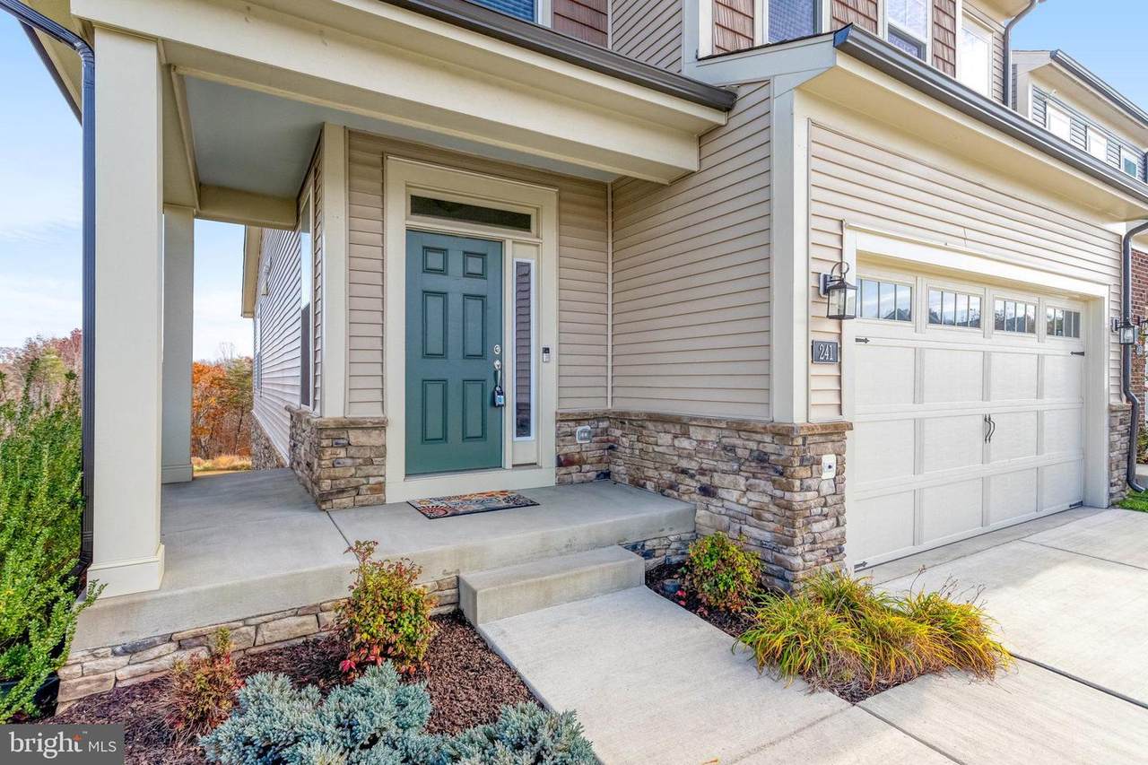 241 Smokebush Drive - Photo 1