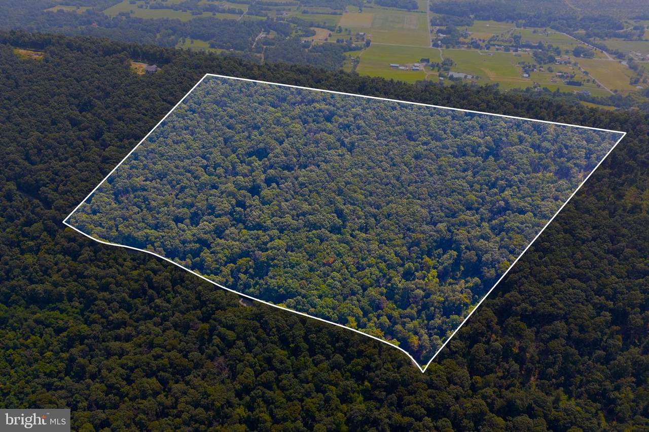 LOT 12 Radio Tower Road - Photo 1