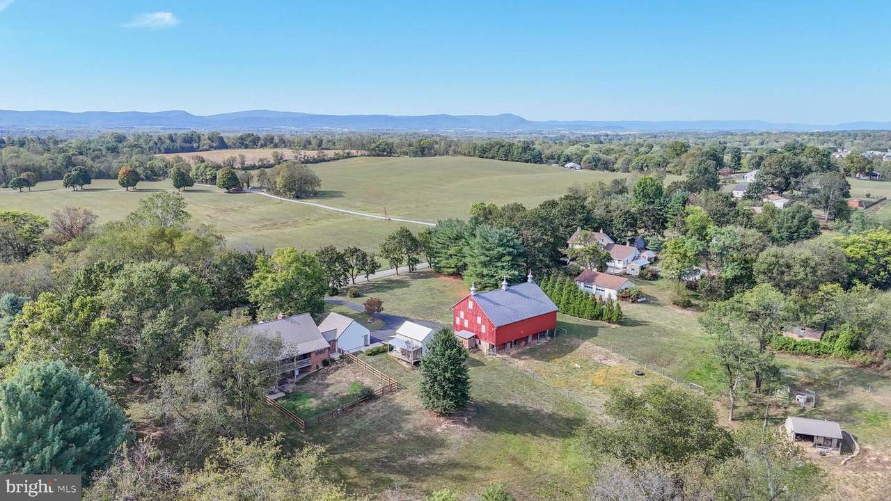 11625 Walnut Point Road - Photo 1