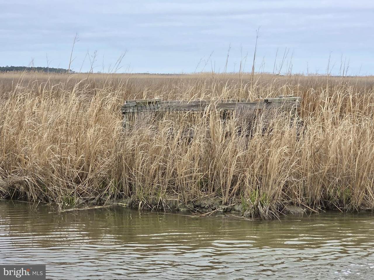 Duck, Sika & Waterfo Muskrat Harbor - Photo 1