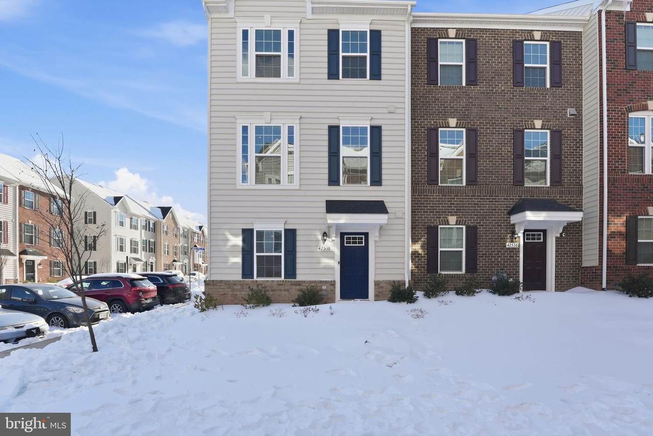 42538 Tiber Falls Square - Photo 1