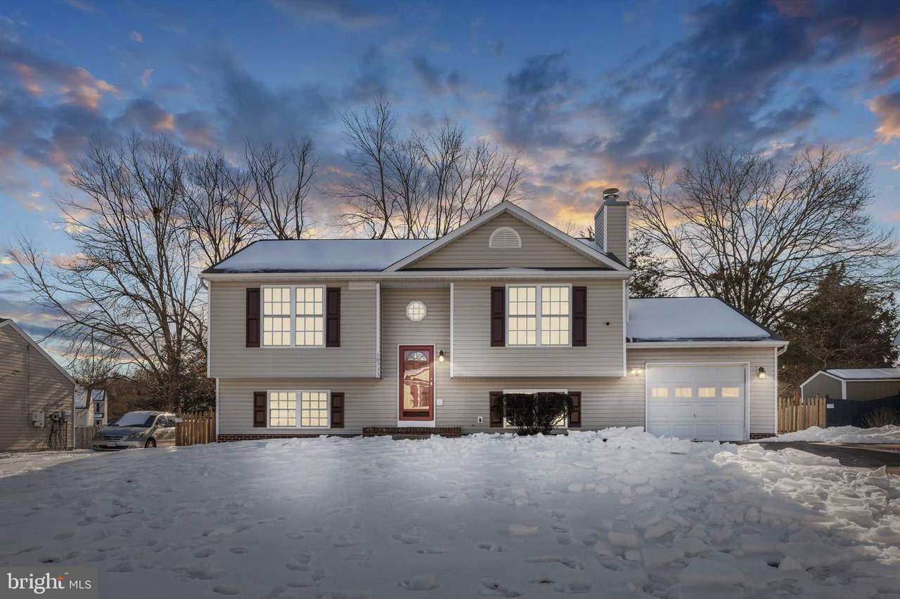 10733 Allie Drive - Photo 1