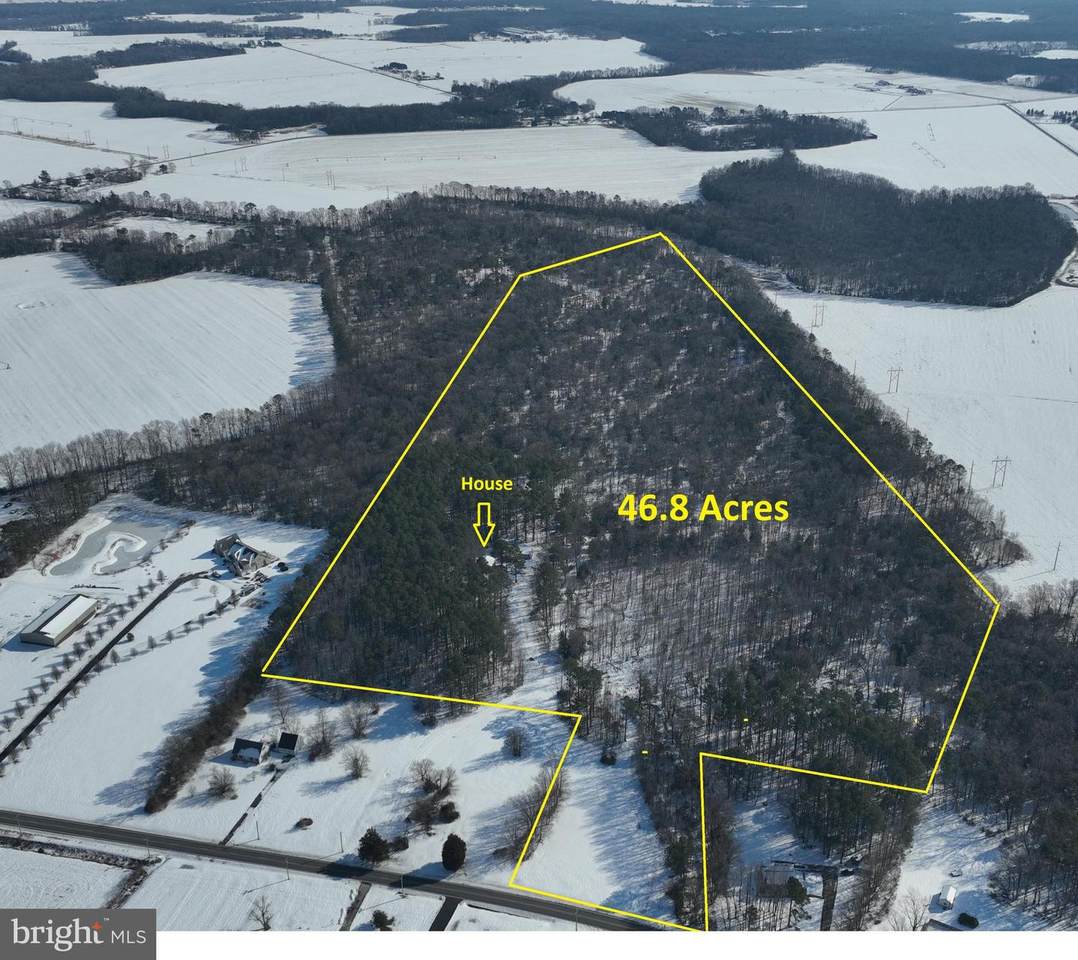 2578 Williamsville Road - Photo 1