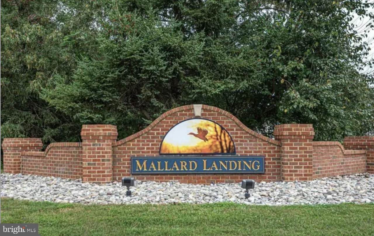 1204 Blue Heron Drive - Photo 1