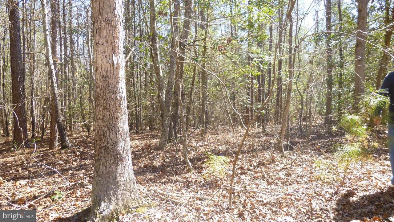  Kings Highway - Photo 1