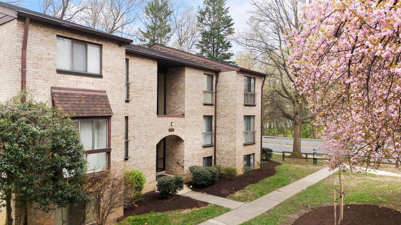 2037 Royal Fern Court - Photo 1