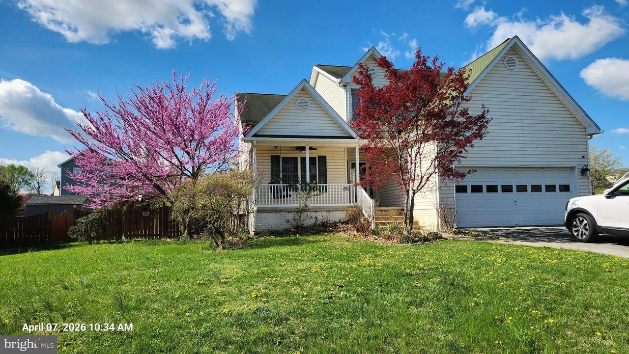 351 Thumper Drive - Photo 1