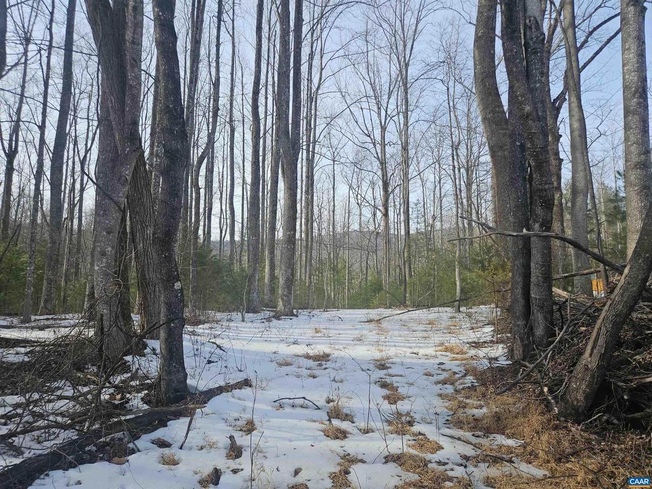 TBD Lot 56G Turkey Ridge Rd - Photo 1