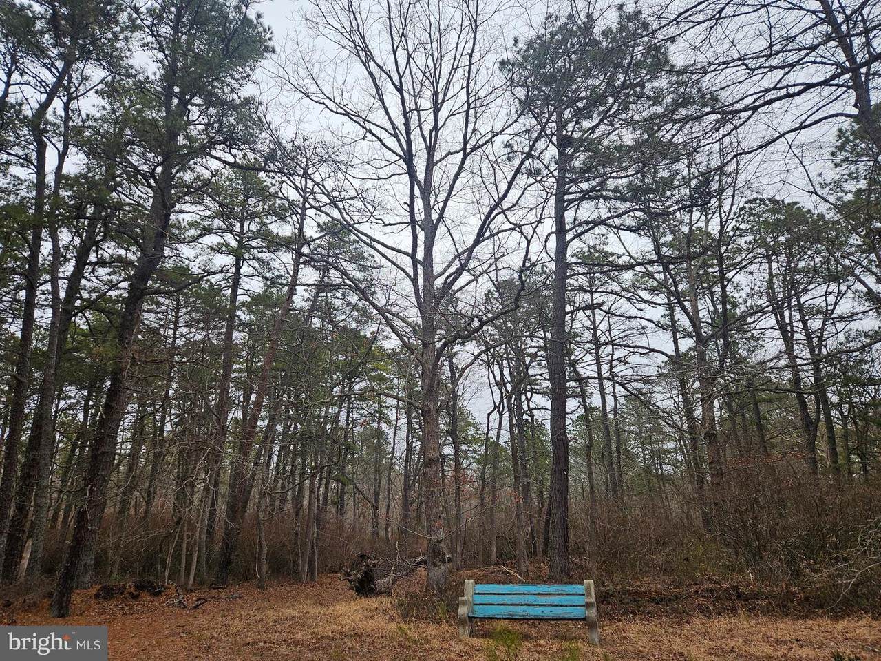  Deerwood Avenue - Photo 1