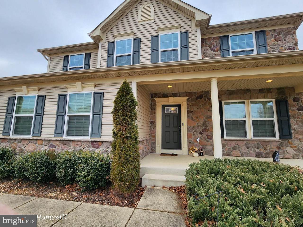 11904 Sidd Finch Street - Photo 1