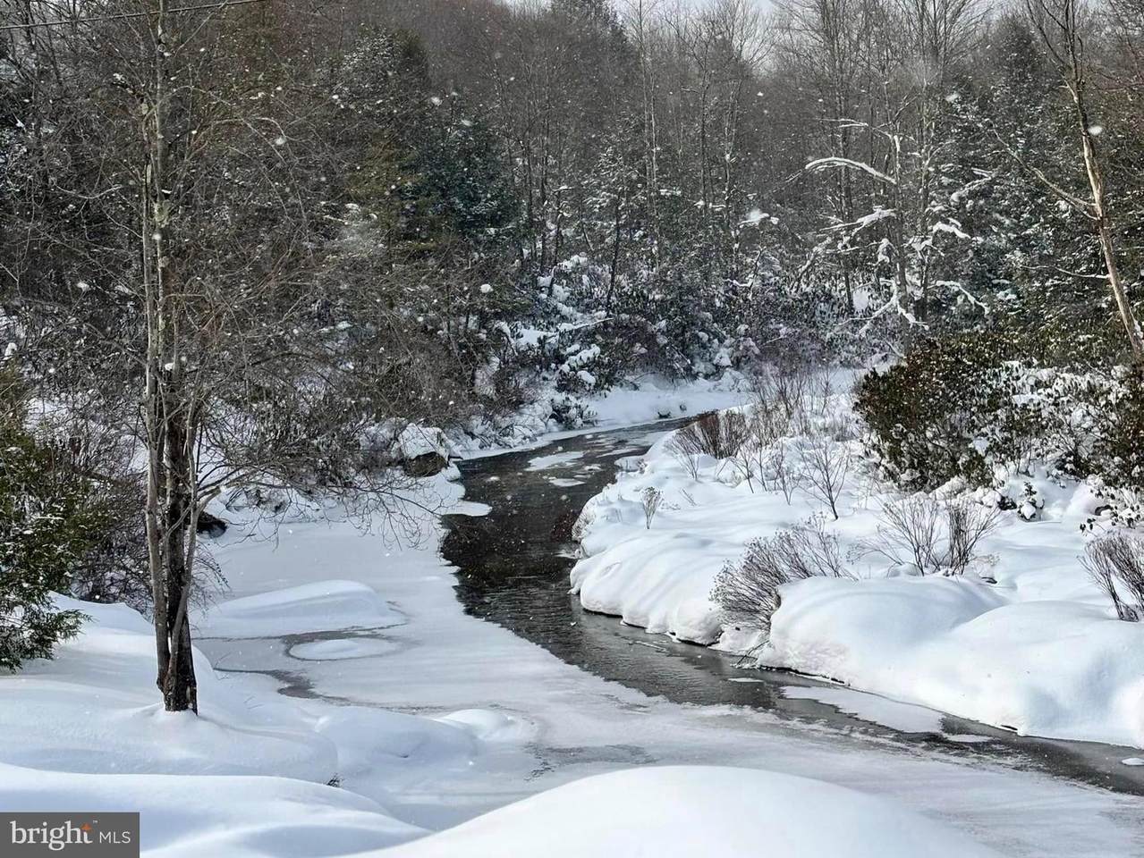 Lot 36 Fox Tail Rd - Photo 1