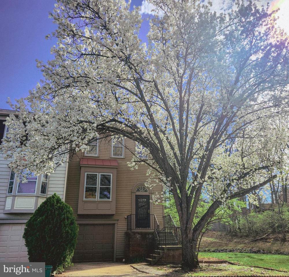 7261 Saint Lucia Court - Photo 1