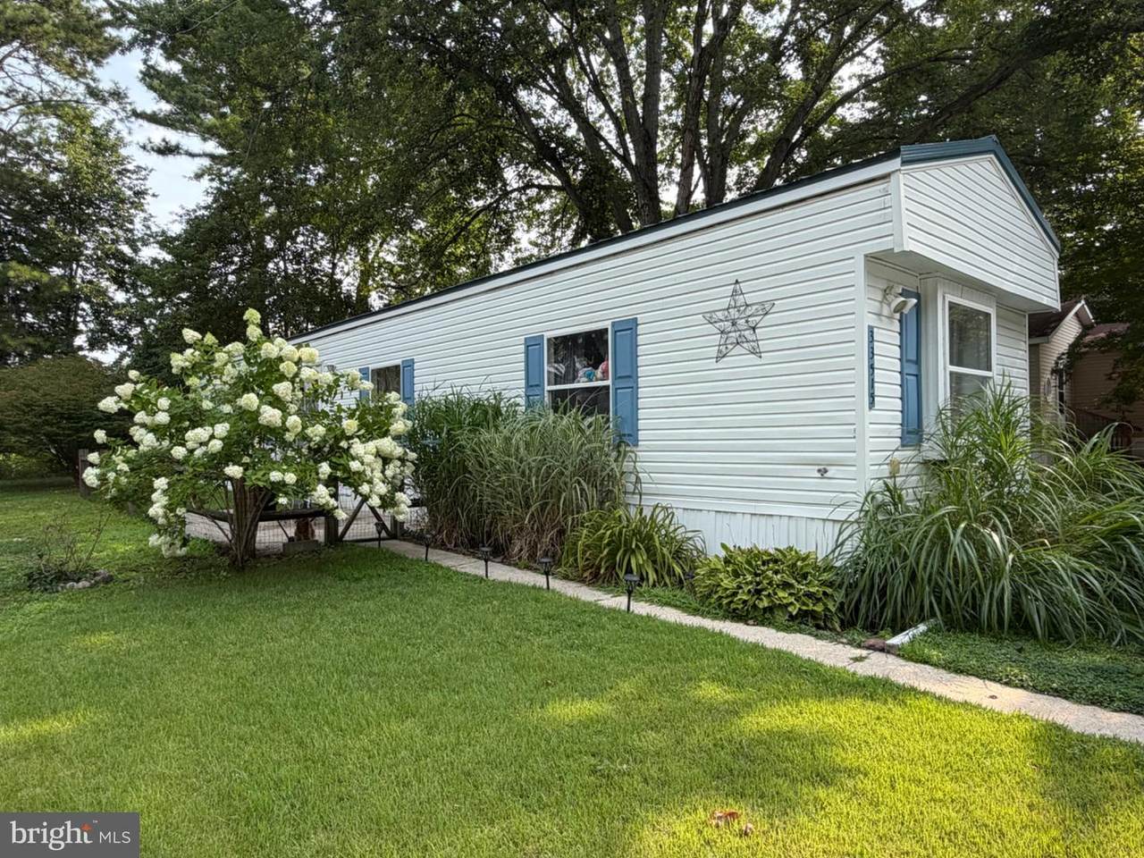33515 Buttercup Street - Photo 1