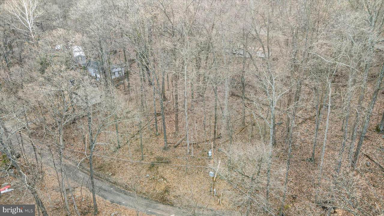 Lots 205-208 Woodpecker Lane - Photo 1