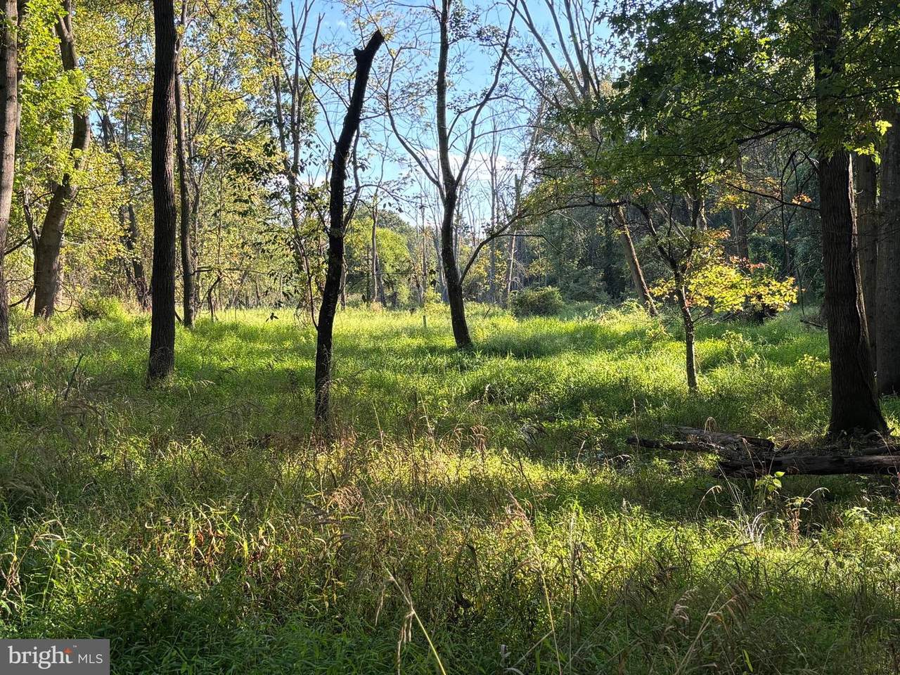  Joey Drive - Photo 1