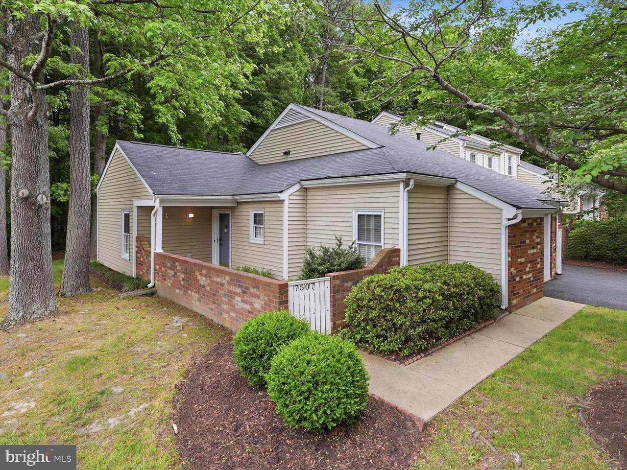 7507 Broach Drive - Photo 1