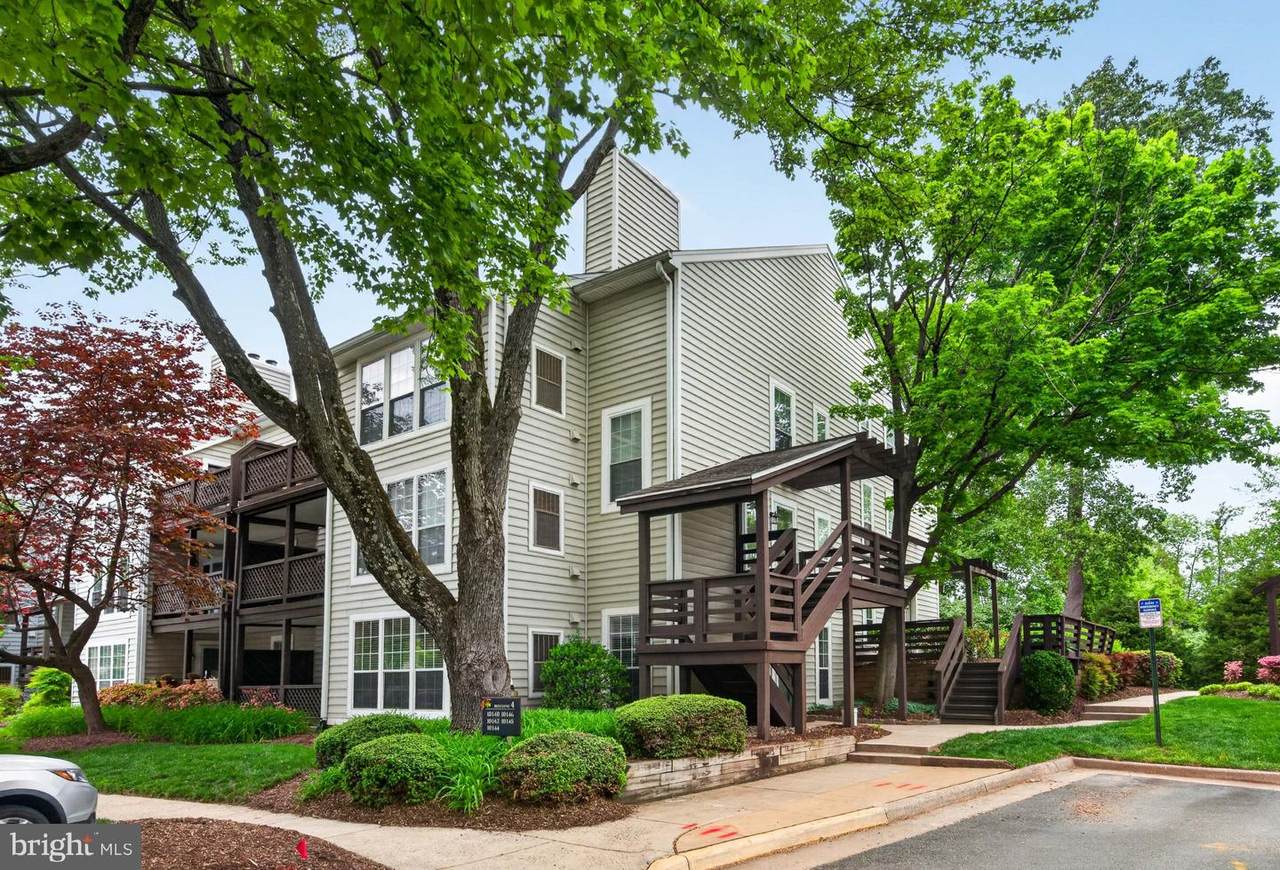 10146 Oakton Terrace Road - Photo 1