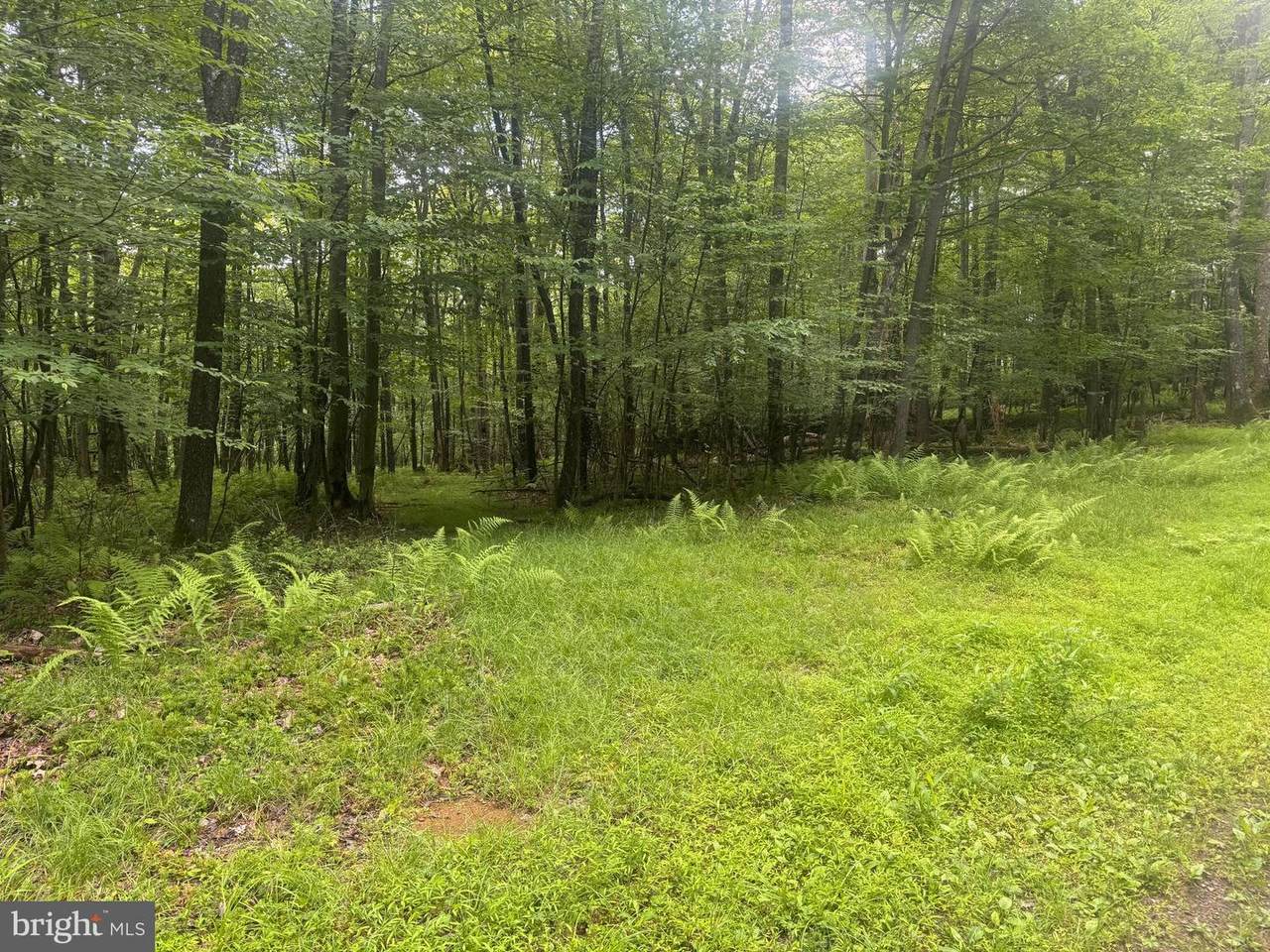 Lot 18 Buck Drive - Photo 1