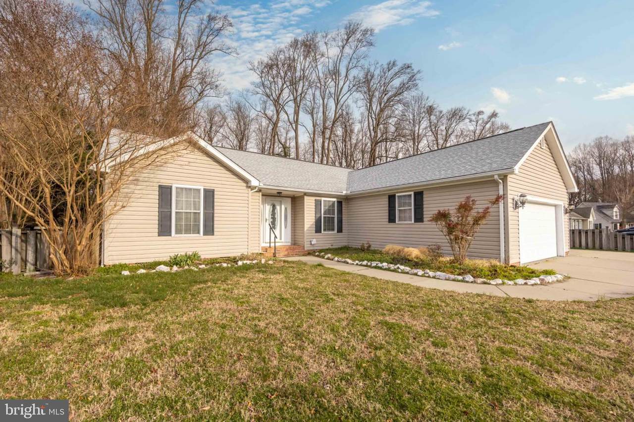 156 Chapel Branch - Photo 1